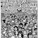 Illustration for article titled In iEltingville Club/i, The Worst Nerds in the World Have Grown Up and It’s Just Awful